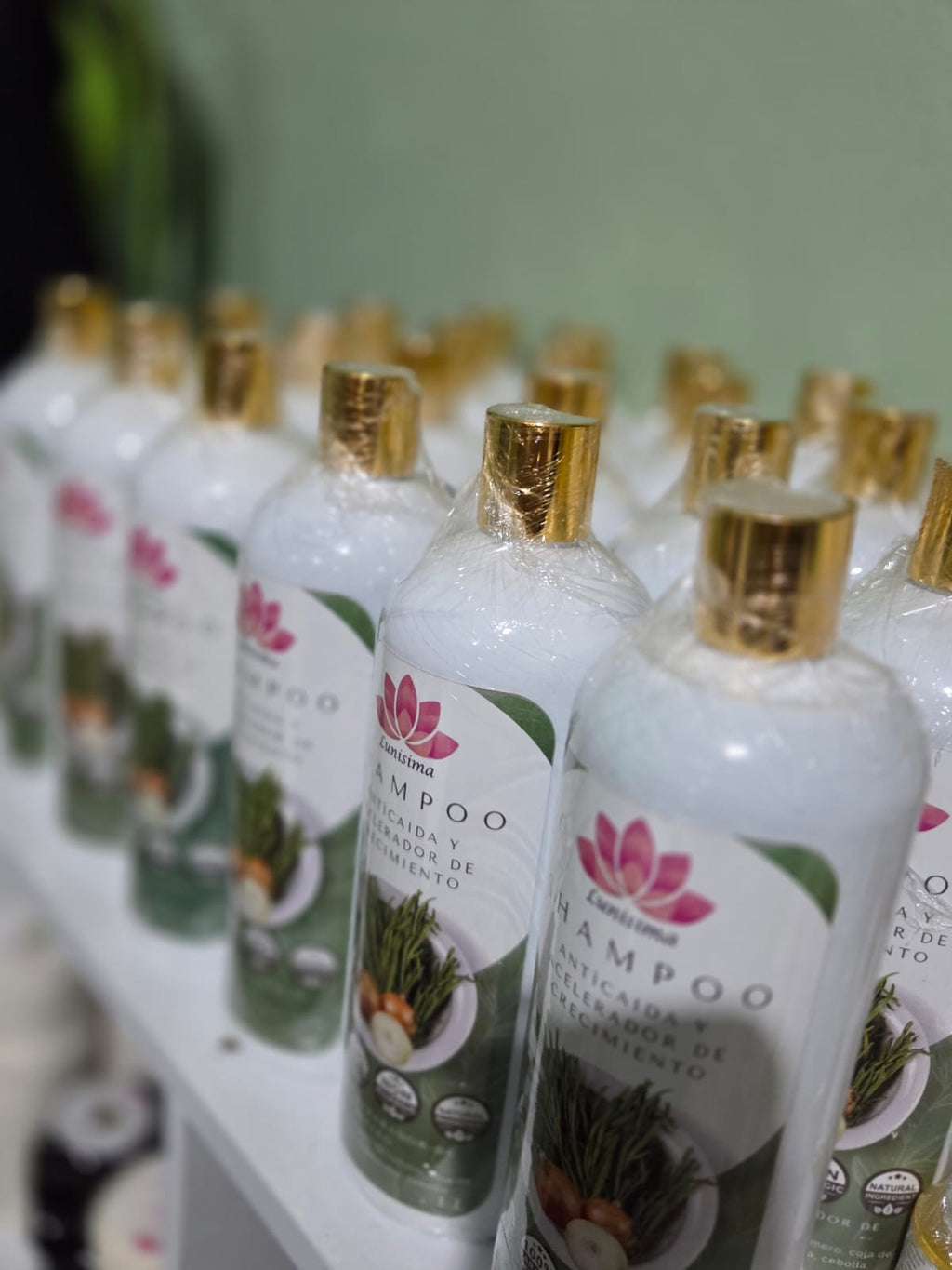 Shampoo Anticaída acelerador del crecimiento 1 LITRO
